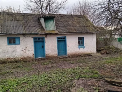 продаж 3-к будинок Ставищенський, Журавлиха, 4900 $