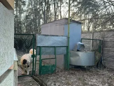 продаж 11-к дача Баришівський, Дернівка, 159000 $