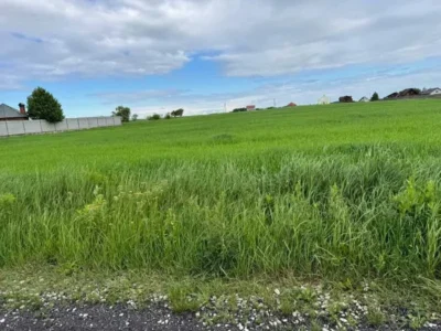 продаж ділянка під житлову забудову Бориспільський, Велика Стариця, 256982 грн.
