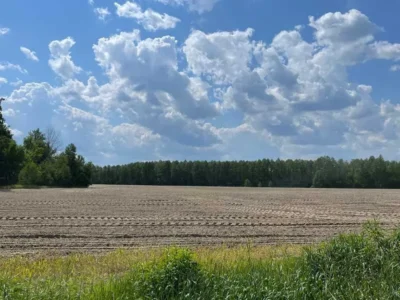 продаж ділянка сільськогосподарського призначення Макарівський, Мар`янівка, 174000 грн.