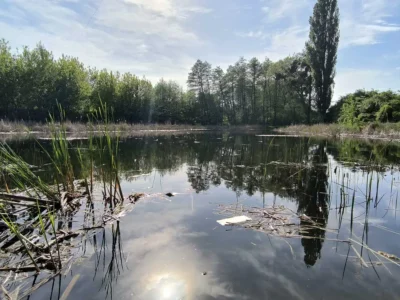 продаж 1-к будинок Макарівський, Осикове, 12900 $