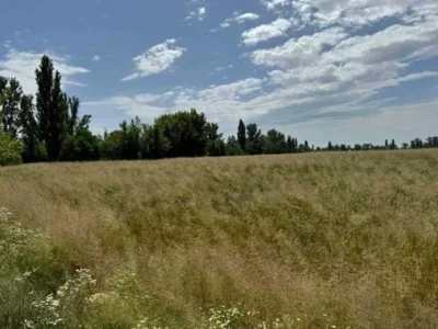 продаж ділянка під житлову забудову Бориспільський, Велика Олександрівка, 38829200 грн.