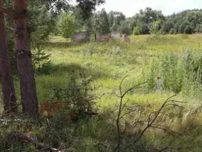 продаж ділянка сільськогосподарського призначення Козелецький, Остер, 15000 $