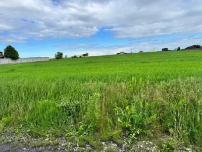 продаж ділянка під житлову забудову Бориспільський, Велика Стариця, 256982 грн.