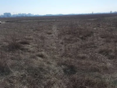 продаж ділянка сільськогосподарського призначення Броварський, Погреби, 14000 $
