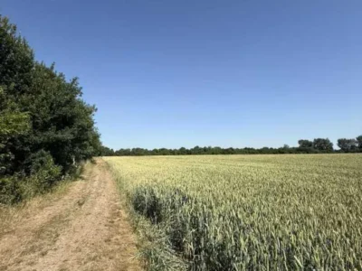продаж ділянка під житлову забудову Пустомитівський, Чижиків, 13000 $