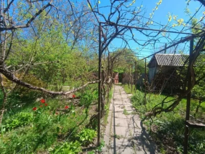 продаж 3-к будинок Васильківський, Хлепча, 63000 $