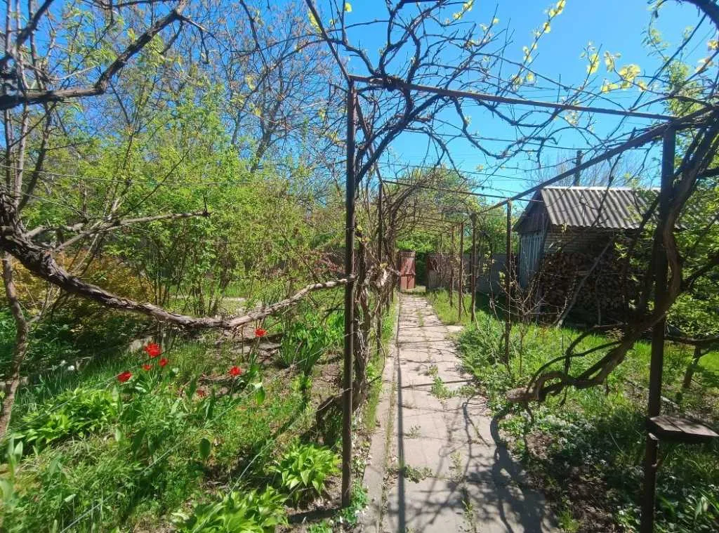 продаж 3-к будинок Васильківський, Хлепча, 63000 $
