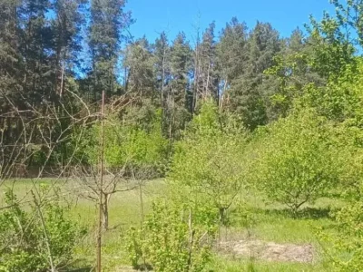 продаж 3-к будинок Васильківський, Хлепча, 63000 $