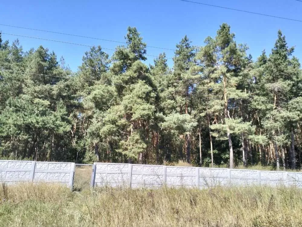продаж 2-к будинок Білоцерківський, Томилівка, 68000 $