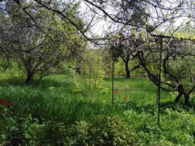 продаж 3-к будинок Таращанський, Северинівка, 12000 $