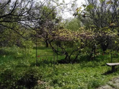 продаж 3-к будинок Таращанський, Северинівка, 12000 $
