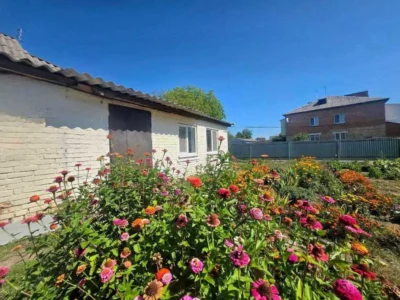 продаж 1-к квартира Васильківський, Гребінки, 25000 $