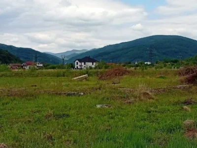 продаж ділянка комерційного призначення Свалявський, Неліпино, 148350 $