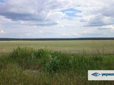 продаж ділянка сільськогосподарського призначення Макарівський, Мостище, 1862485 грн.