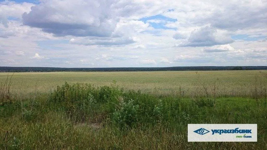 продаж ділянка сільськогосподарського призначення Макарівський, Мостище, 1862485 грн.
