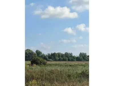 продаж ділянка сільськогосподарського призначення Сквирський, Пищіки, 64750 грн.