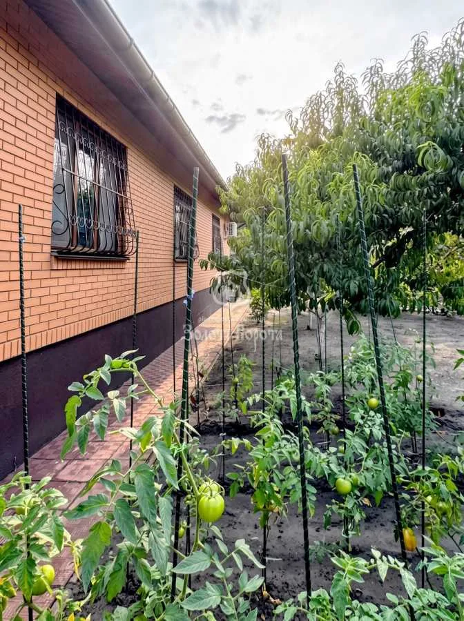 продаж 4-к будинок Бориспільський, Проців, 260000 $