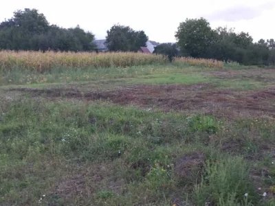 продаж ділянка під житлову забудову Києво-Святошинський, Гостомель, 40500 $