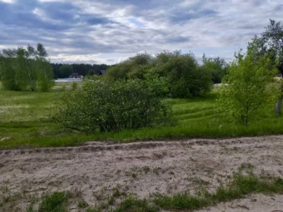 продаж ділянка сільськогосподарського призначення Вишгородський, Жукин, 14000 $