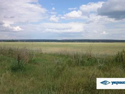продаж ділянка сільськогосподарського призначення Макарівський, Мостище, 1862485 грн.