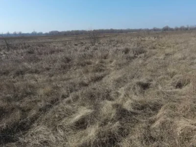 продаж ділянка сільськогосподарського призначення Броварський, Погреби, 14000 $