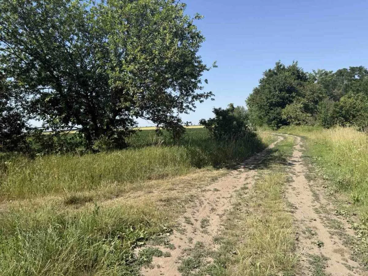 продаж ділянка під житлову забудову Пустомитівський, Чижиків, 13000 $