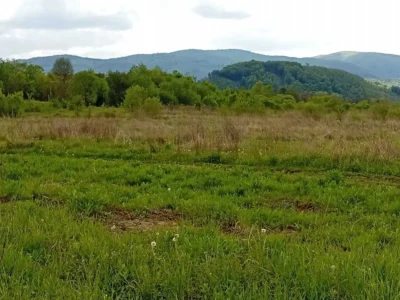 продаж ділянка комерційного призначення Свалявський, Неліпино, 148350 $