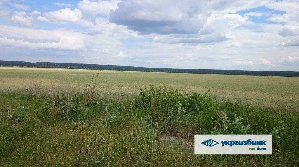 продаж ділянка сільськогосподарського призначення Макарівський, Мостище, 1862485 грн.