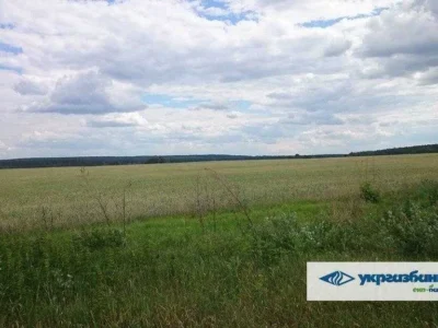 продаж ділянка сільськогосподарського призначення Макарівський, Мостище, 1862485 грн.