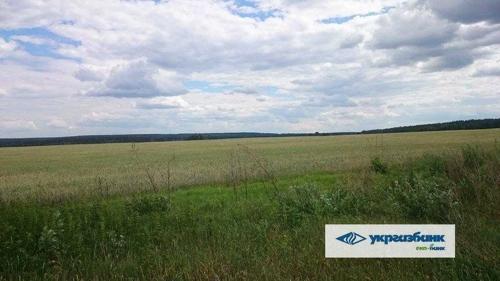 продаж ділянка сільськогосподарського призначення Макарівський, Мостище, 1862485 грн.