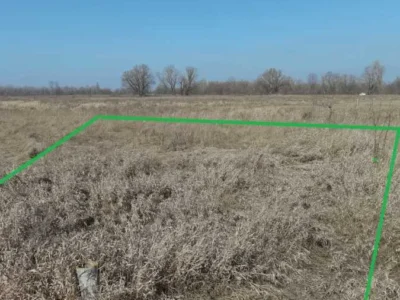 продаж ділянка сільськогосподарського призначення Броварський, Погреби, 14000 $