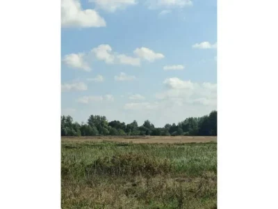 продаж ділянка сільськогосподарського призначення Сквирський, Пищіки, 64750 грн.