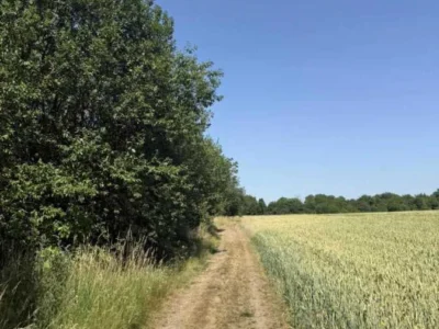 продаж ділянка під житлову забудову Пустомитівський, Чижиків, 13000 $