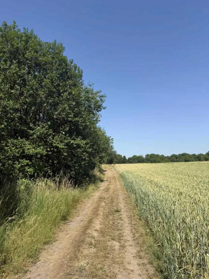 продаж ділянка під житлову забудову Пустомитівський, Чижиків, 13000 $