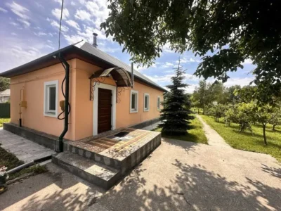 продаж 1-к будинок Бориспільський, Вороньків, 58000 грн.