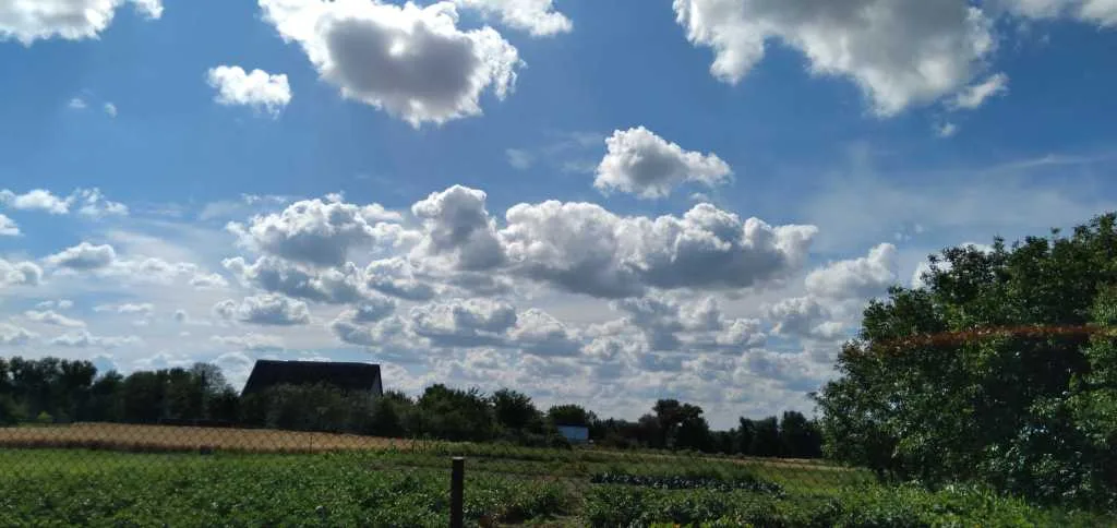 продаж ділянка під житлову забудову Білоцерківський, Олійникова Слобода, 202027 грн.
