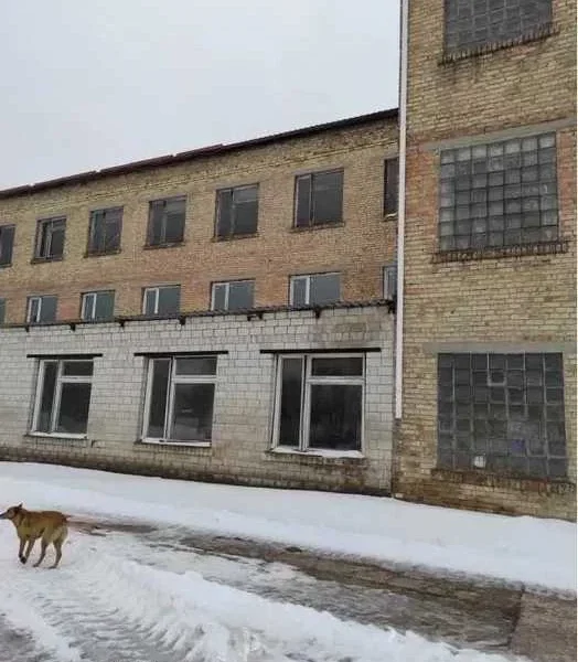 продаж виробничі приміщення Бородянський, Бородянка, 900000 $