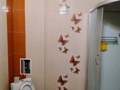 Оренда 1 кімн квартира, Соф. Борщагівка, вул. Шалімова