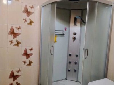 Оренда 1 кімн квартира, Соф. Борщагівка, вул. Шалімова